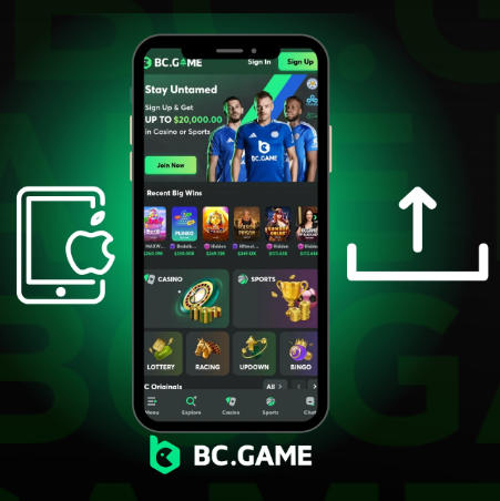 Bc.Game Casino Games Discover Endless Entertainment and Rewards